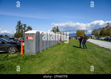 MOUNT VERNON, WA, USA – 14. APRIL 2023: RoozenGaarde Farm, Skagit Valley Tulip Festival, Parkplatz und eine lange Reihe tragbarer Toiletten Stockfoto