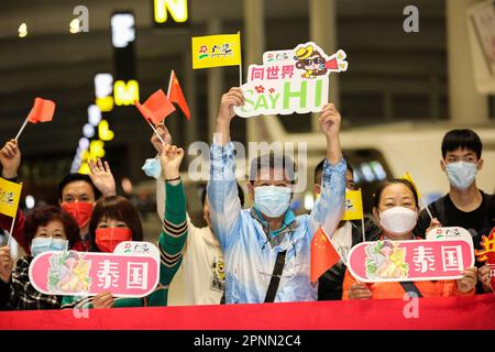 Peking, China. 20. April 2023. Touristen einer Reisegruppe, die nach Thailand reisen, reisten am Guangzhou Baiyun International Airport in Guangzhou, Südchina-Provinz Guangdong, 6. Februar 2023. Kredit: Xinhua/Alamy Live News Stockfoto