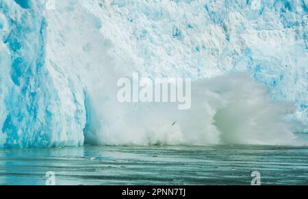 Spektakuläres Gletscherkalben. Eiswürfel fielen ins Wasser wie eine Explosion. Felsen, Eis, Flüsse, Wälder und Berge: Die Sommerlandschaft von Alaska. Stockfoto