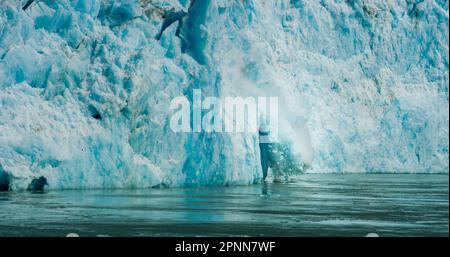 Spektakuläres Gletscherkalben. Eiswürfel fielen ins Wasser wie eine Explosion. Felsen, Eis, Flüsse, Wälder und Berge: Die Sommerlandschaft von Alaska. Stockfoto