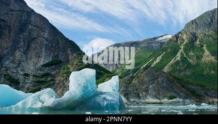 Beobachten Sie die Eisschollen und Eisberge auf dem Fluss in einem kleinen Boot. Felsen, Eis, Flüsse, Wälder und Berge: Die Sommerlandschaft von Alaska. Stockfoto