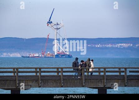 Binz, Deutschland. 12. April 2023. Das Kranschiff „Svanen“ ist in der Ostsee vor der Insel Rügen verankert. Das Kranschiff „Svanen“ wird bald Fundamente für den Offshore-Windpark „Baltic Eagle“ bauen. Verbindungsstücke für die Windturbinen sind bereits in Mukran gelagert. Der „Baltic Eagle“ soll auch Strom für eine nahezu CO2-freie Stahlproduktion liefern. Zu diesem Zweck haben das Energieunternehmen Iberdrola und die Salzgitter Flachstahl GmbH einen langfristigen Stromliefervertrag geschlossen. Kredit: Stefan Sauer/dpa/Alamy Live News Stockfoto