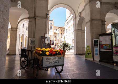 Padua, Italien. April 2023. Padua, Italien. April 2023. Blick auf die Eingangshalle des Palazzo Moroni, Sitz der Gemeinde Padua Stockfoto