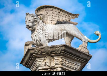 Markussäule, Piazza dei Signori, Vicenza, Veneto, Italien Stockfoto