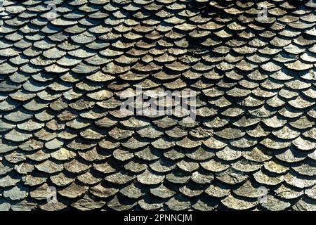 Traditionelles Schieferdach (Lauzstein) in der Auvergne, Frankreich Stockfoto