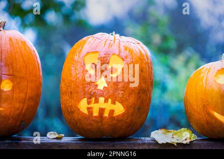 Halloween, gruselige Halloween-Kürbisse, Muensingen, Baden-Württemberg, Deutschland Stockfoto