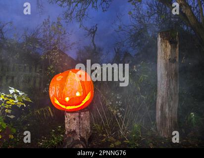 Halloween, beleuchteter Kürbis in einem Garten am Abend, Stuttgart, Baden-Württemberg, Deutschland Stockfoto