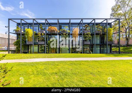 Bundesverfassungsgericht, BVerfG, Außenansicht der Gebäuderückseite, Karlsruhe, Baden-Württemberg, Deutschland Stockfoto
