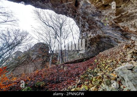 Eiszeithoch Geissenkloesterle im Achtaler Tal, wo wichtige archäologische Ausgrabungen aus der Aurignazienzeit stattfanden, ist Ausgrabungsstätte Stockfoto