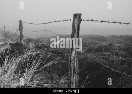 Zaun in der Dünenlandschaft, Nebel, Sylt, Nordfriesische Insel, Nordfriesien, Nordsee, Schleswig-Holstein, Deutschland Stockfoto