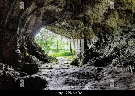 Höhle Hohlenstein-Stadel in der Schwäbischen Alb, Eiszeit-Höhle, Ort des Löwenmanns, Elfenbeinfigur aus der Paläolithenzeit, älteste menschliche Skulptur in Stockfoto