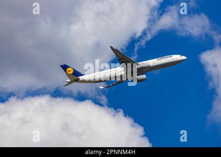 Airbus A330-300 der Fluggesellschaft Lufthansa startet am Flughafen Fraport, Tower und Terminal, Frankfurt am Main, Hessen, Deutschland Stockfoto