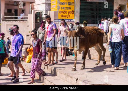 Holi Festival, Indian Spring Festival, traditionelles Festival der Farben, Blick auf Varanasi, Uttar Pradesh, Indien Stockfoto