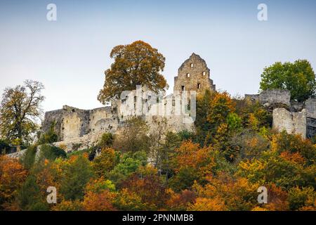 Burgruine Hohenurach im Herbst, Schwäbische Alb, Bad Urach, Baden-Württemberg, Deutschland Stockfoto