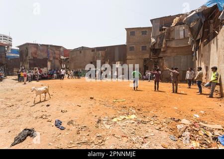 Cricket ist ein beliebter Sport in Indien, in allen Gesellschaftsschichten, Kinder, die in einem Hinterhof spielen, Dharavi, der größte Slum in Asien mit bis zu 600, 000 Stockfoto