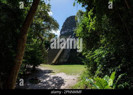 Eine Landschaft der Maya-Ruinen in Tikal Flores, Guatemala Stockfoto