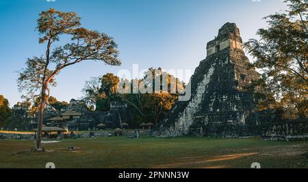 Eine Landschaft der alten Maya-Ruinen in Tikal Flores, Guatemala Stockfoto