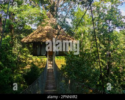 Glamouröse Unterkunft im Regenwald des Amazonas. Holzhaus, Amazonas-Regenwald, Amazonien, Pacaya Samiria National Reserve, Peru, Südamerika. Stockfoto