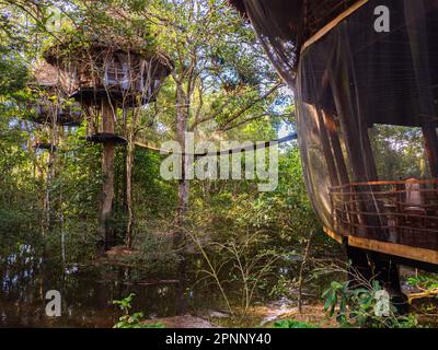 Glamouröse Unterkunft im Regenwald des Amazonas. Holzhaus, Amazonas-Regenwald, Amazonien, Pacaya Samiria National Reserve, Peru, Südamerika. Stockfoto