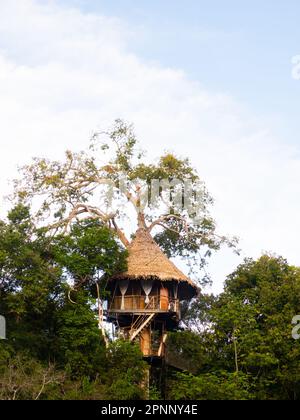Glamouröse Unterkunft im Regenwald des Amazonas. Holzhaus, Amazonas-Regenwald, Amazonien, Pacaya Samiria National Reserve, Peru, Südamerika. Stockfoto
