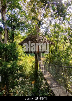 Glamouröse Unterkunft im Regenwald des Amazonas. Holzhaus, Amazonas-Regenwald, Amazonien, Pacaya Samiria National Reserve, Peru, Südamerika. Stockfoto