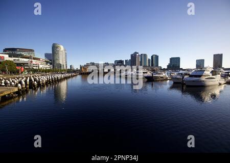 Wunderschöner Tag am Ufer von Melbourne Stockfoto