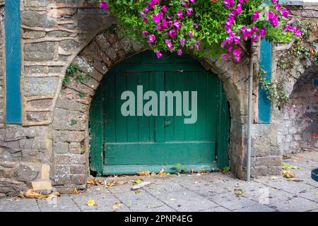 Alte grüne Holzbogentür in einer alten Steinmauer mit Blumen darüber Stockfoto