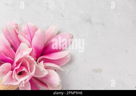 Rosa Magnolienblüten in Eiswaffel. Frühlingsblüten auf Betonhintergrund. Draufsicht mit Kopierbereich. Hochzeitskonzept Stockfoto