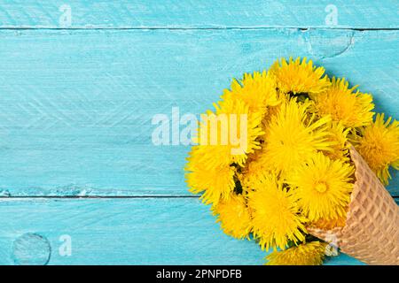Gelbe Löwenzahnblumen in Waffeleis auf pastellblauem Hintergrund. Flach verlegt. Draufsicht mit Kopierbereich. Schließen. Frühlingsferienkonzept Stockfoto