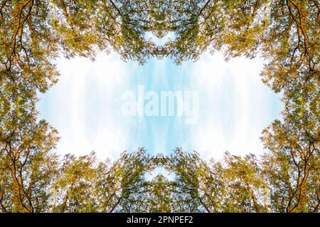 Frühling Tamarinde Zweige auf dem blauen Himmel. Ein majestätischer grüner Tamarindenbaum mit klarem blauen Himmel im Hintergrund. Heller Frühling natürlicher Hintergrund. Kopieren Stockfoto