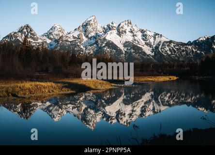 Die Teton Range spiegelt sich auf dem Biberteich bei Schwabacher Landing, Grand Teton National Park, Wyoming Stockfoto