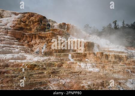 Blick von der Seite auf Canary Spring und Terrassen in der Mammoth Hot Spring Area im Yellowstone National Park, wyoming, USA. Stockfoto