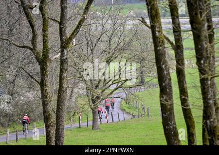 Remouchamps, Belgien. 20. April 2023. Cofidis-Fahrer in Aktion während eines Trainings und einer Aufklärungseinheit, vor dem eintägigen Radrennen Lüttich-Bastogne-Lüttich, auf der „Cote de la Redoute“, in Remouchamps, Aywaille, Donnerstag, den 20. April 2023. BELGA PHOTO DIRK WAEM Credit: Belga News Agency/Alamy Live News Stockfoto