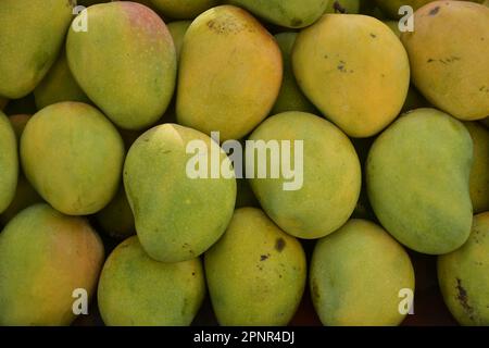 Mangos-Früchte, Sommerfrüchte Stockfoto
