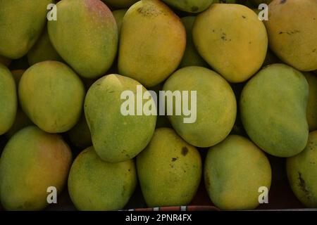 Mangos-Früchte, Sommerfrüchte Stockfoto