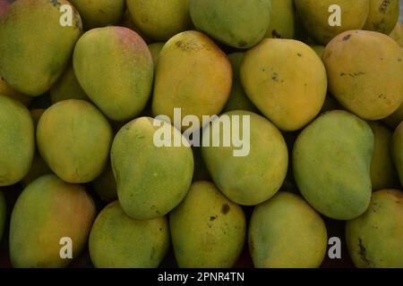 Mangos-Früchte, Sommerfrüchte Stockfoto
