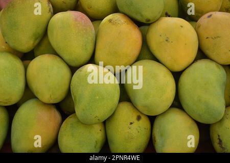 Mangos-Früchte, Sommerfrüchte Stockfoto