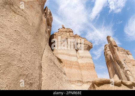 Al Qarah Mountains Hills in Al-Ahsa, in der östlichen Provinz Saudi-Arabiens. Stockfoto