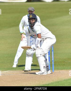 Hove UK, 20. April 2023 - Cheteshwar Pujara schlägt für Sussex gegen Yorkshire während des Cricket-Spiels LV= Insurance County Championship auf dem 1. Central County Ground in Hove : Credit Simon Dack /TPI/ Alamy Live News Stockfoto