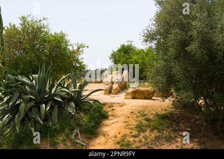 Agrigento ist die italienische Kulturhauptstadt 2025. Statue des Atlas im Tempel des Olympischen Zeus, Agrigento, Sizilien, Italien Stockfoto