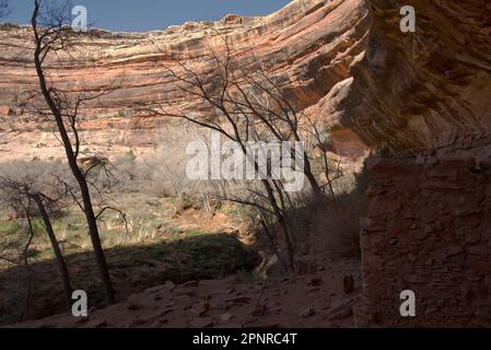 Überreste kleiner Strukturen, die von den prähistorischen Ureinwohnern der Ureinwohner in Grand Gulch, Utah, zurückgelassen wurden Stockfoto