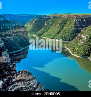 Schwarzer Canyon Arm des Dickhornsees nahe Fort smith, montana Stockfoto