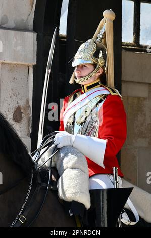 Weibliche Horse Guard, Horse Guards Parade, Whitehall, London, Großbritannien Stockfoto