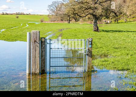 Ein Tor auf dem Thames Path National Trail unter Wasser in der Nähe der Quelle der Themse am Thames Head in den Cotswolds bei Kemble, Gloucestershire Stockfoto