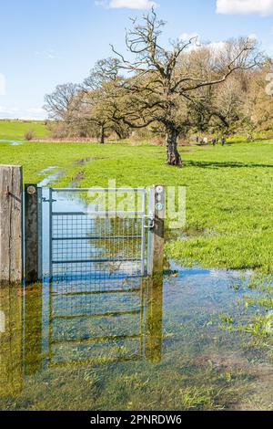 Ein Tor auf dem Thames Path National Trail unter Wasser in der Nähe der Quelle der Themse am Thames Head in den Cotswolds bei Kemble, Gloucestershire Stockfoto