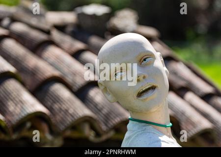 Kleiderpuppe als Spatzenschrecker Stockfoto