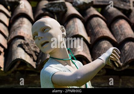 Kleiderpuppe als Spatzenschrecker Stockfoto