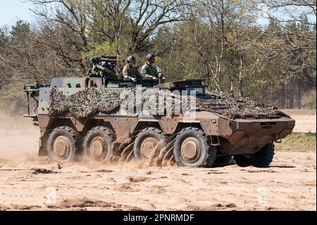 Das Boxer-gepanzerte Kampffahrzeug der Royal Netherlands Army. Stockfoto