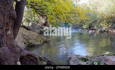 Die Shnir Riveri ist eine der Quellen des Jordan im Norden Israels Stockfoto