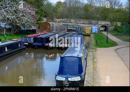 Im Trevor-Becken unter einem blühenden Baum auf dem Llangollen-Kanal verankerte Schmalboote. Stockfoto